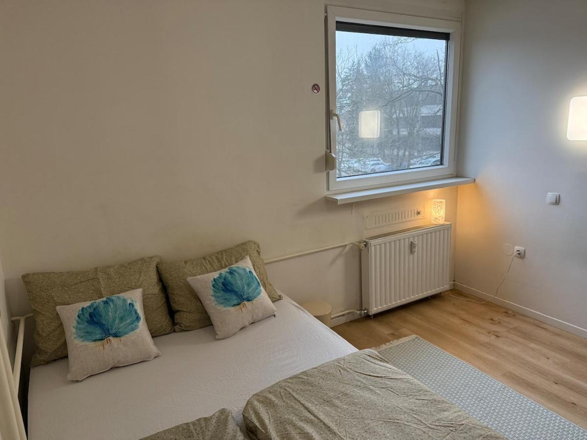 Apartment Cozy & Renovated In A Practical Location Ljubljana