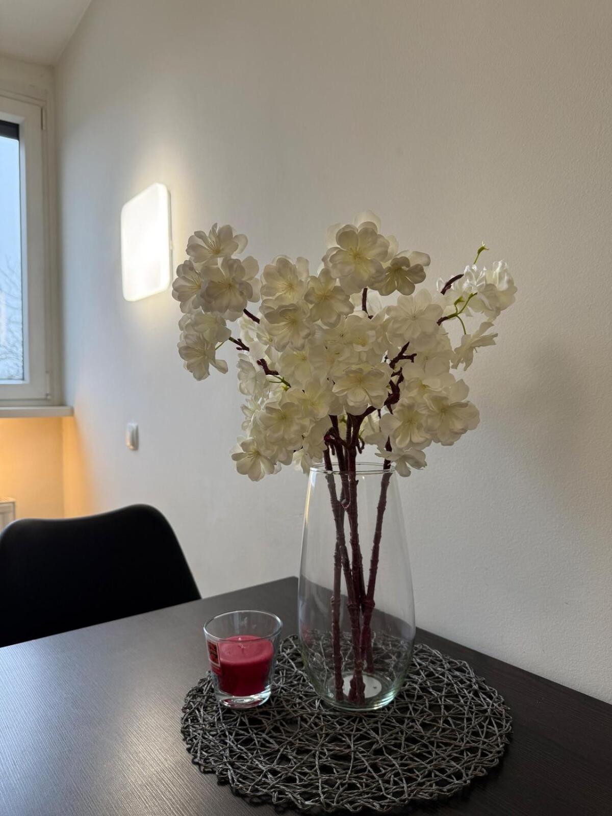 Apartment Cozy & Renovated In A Practical Location *