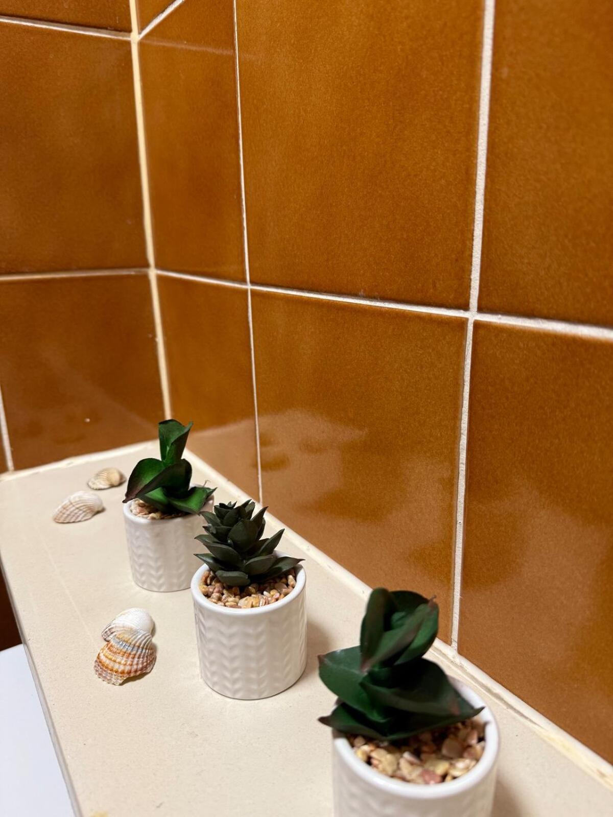 Cozy & Renovated In A Practical Location Apartment