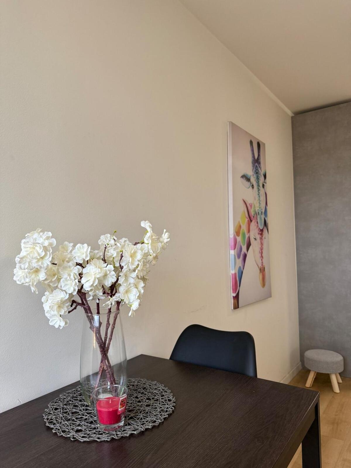 Apartment Cozy & Renovated In A Practical Location