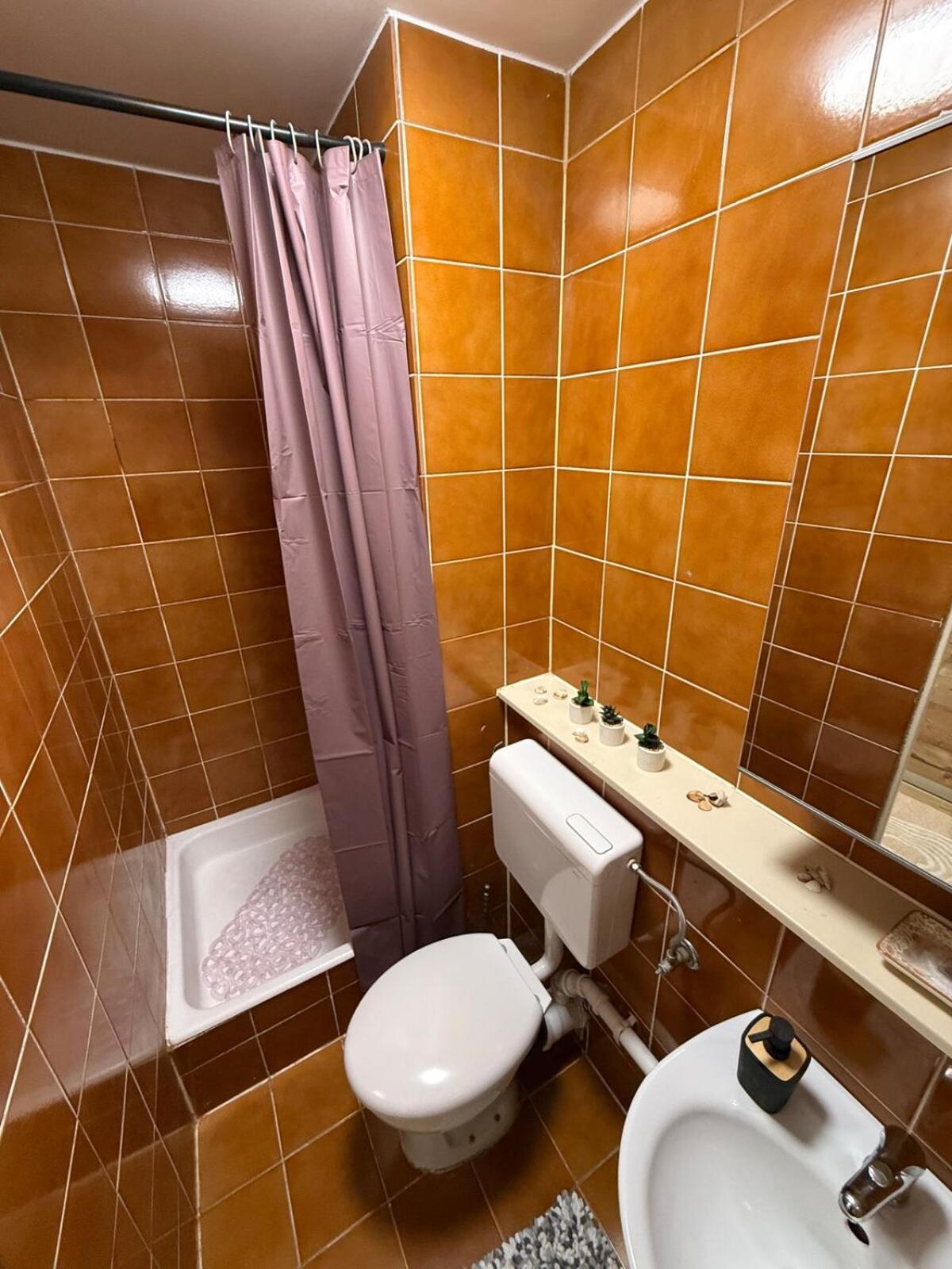 Cozy & Renovated In A Practical Location Ljubljana